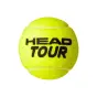 картинка Мяч для большого тенниса Head TOUR 3B 3 шт 